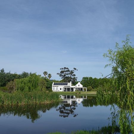 Sanddrif Stellenbosch Guest Farm Bagian luar foto