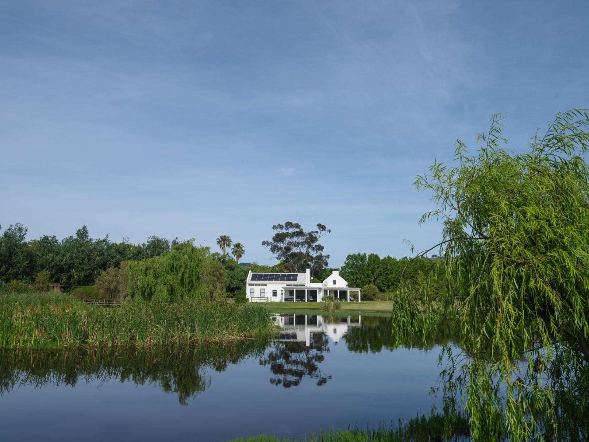 Sanddrif Stellenbosch Guest Farm Bagian luar foto