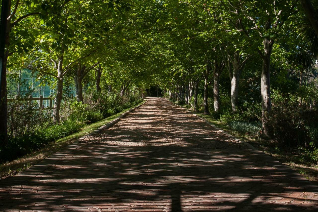 Sanddrif Stellenbosch Guest Farm Bagian luar foto